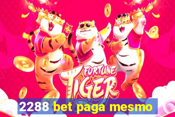 2288 bet paga mesmo